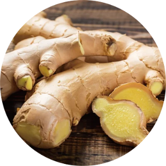 ショウガ の画像