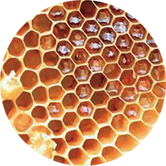 プロポリス の画像